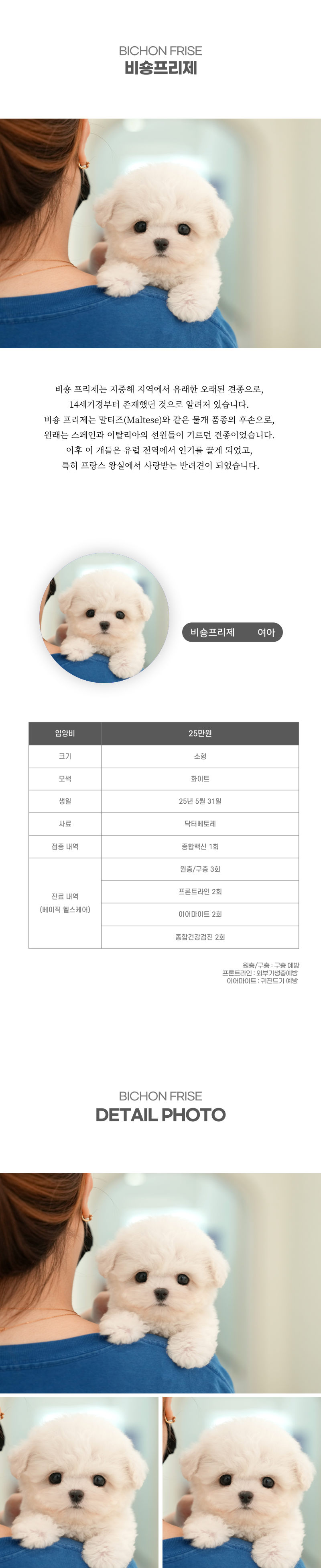 미니비숑_상세이미지_2