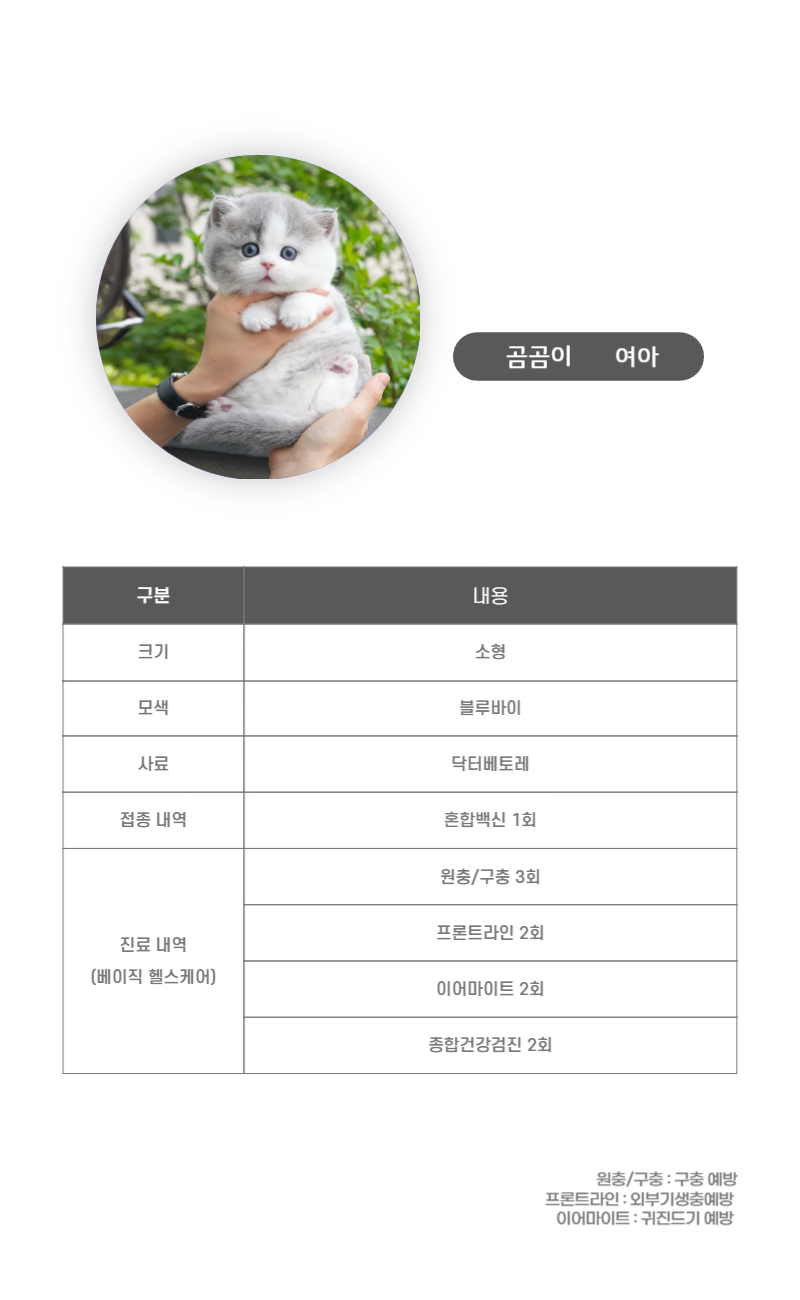 곰곰이_상세이미지_3