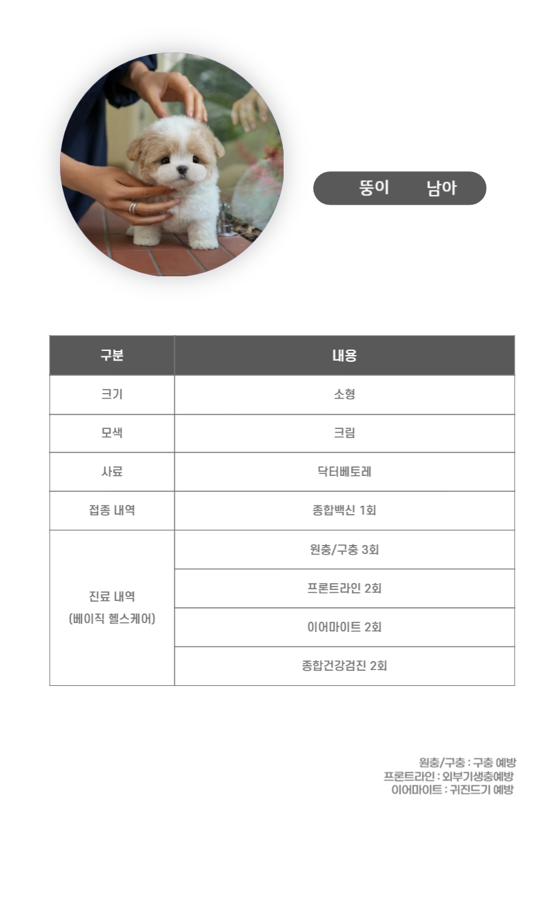 뚱이_상세이미지_3