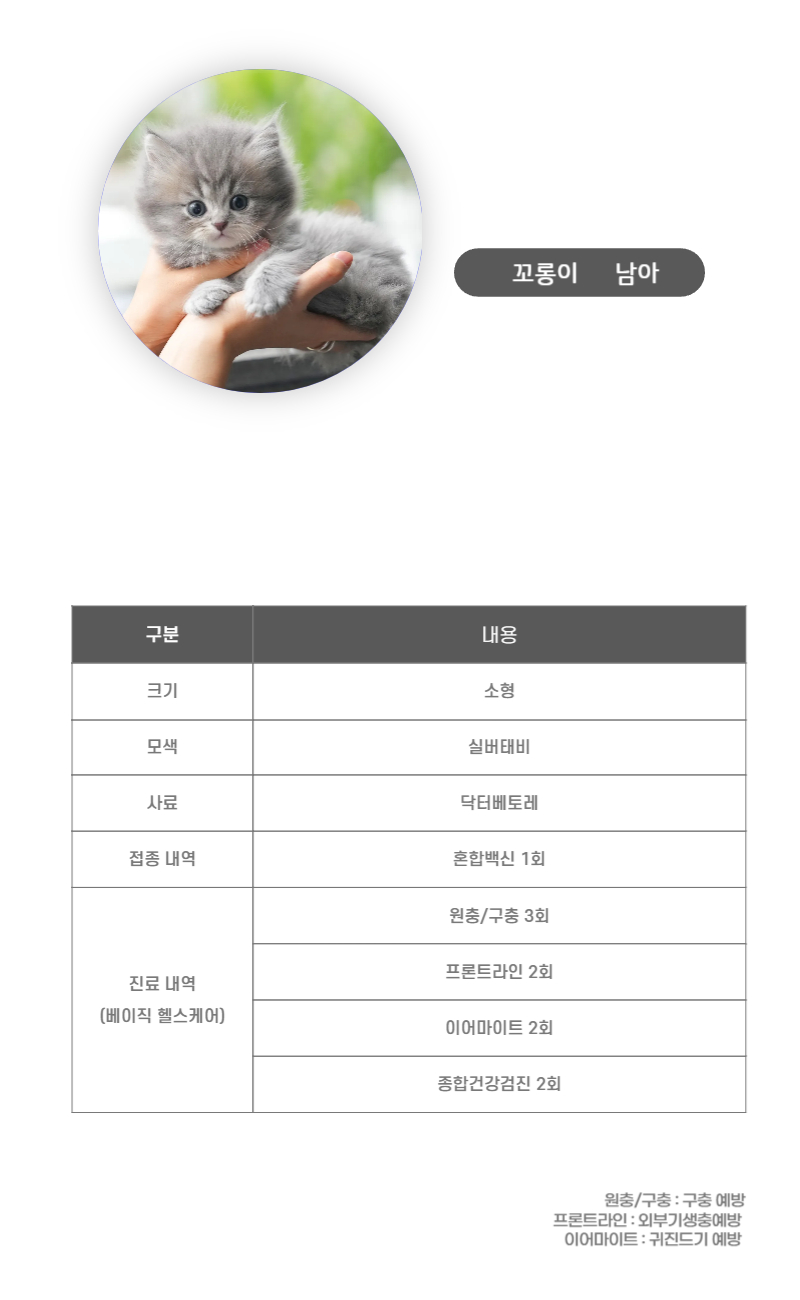꼬롱이_상세이미지_3