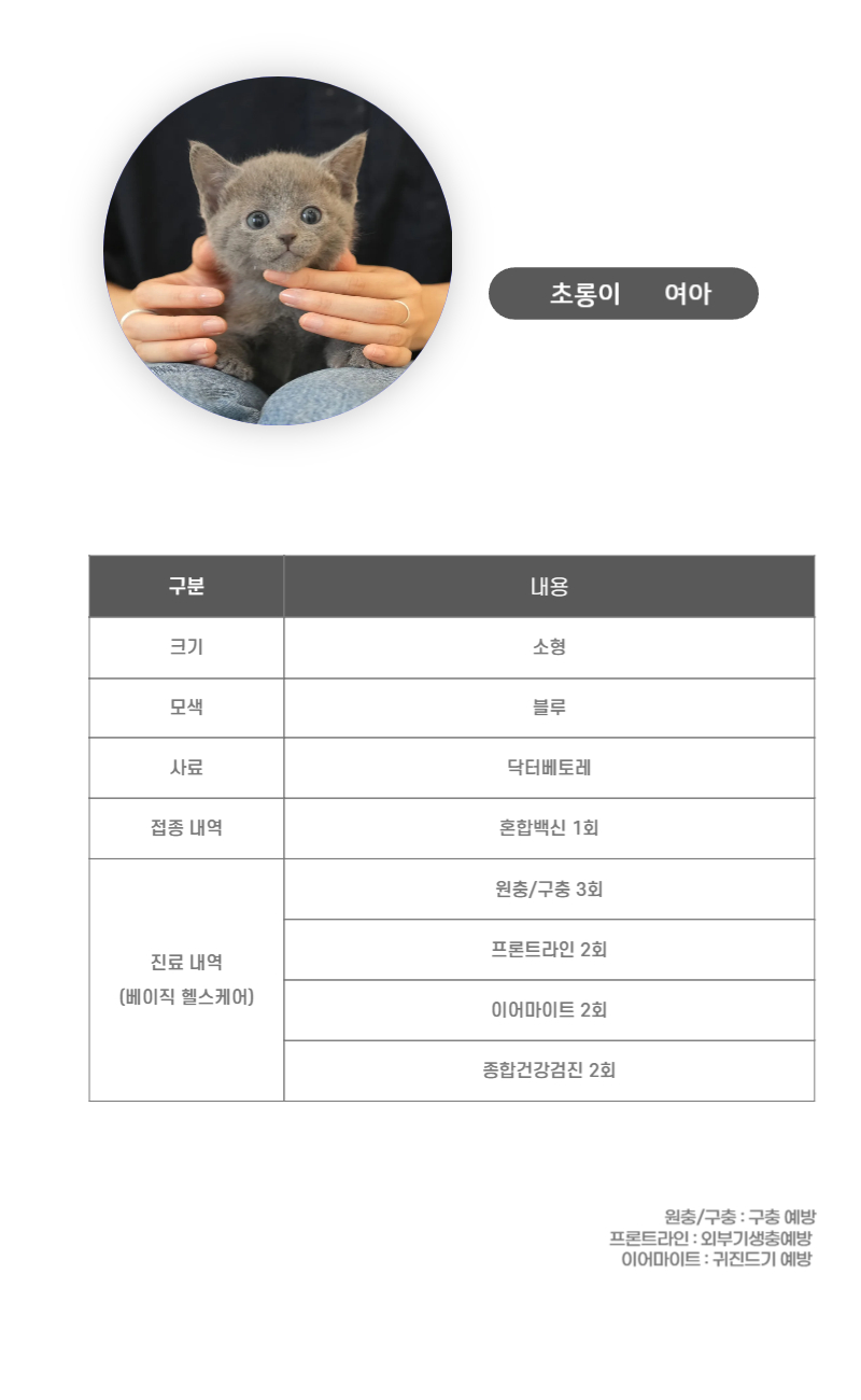 초롱이_상세이미지_3