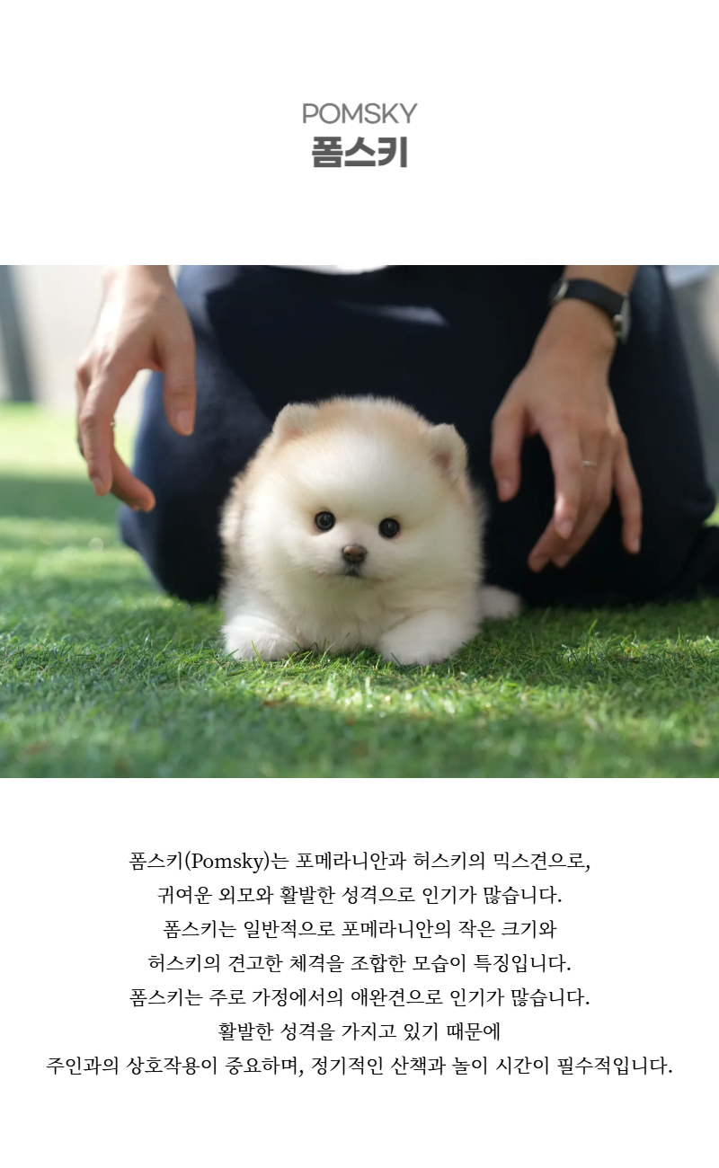 아랑이_상세이미지_2