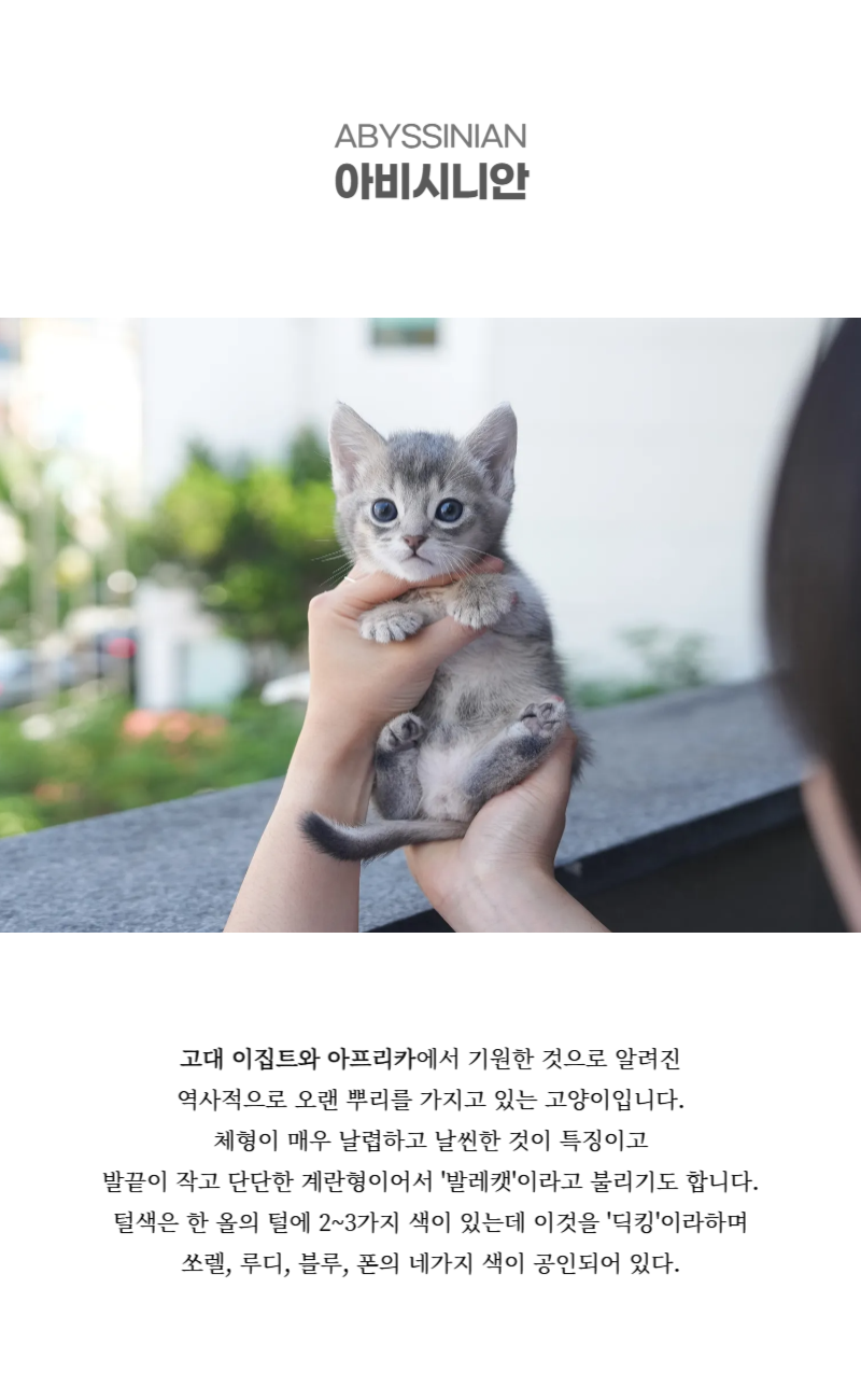포키_상세이미지_2