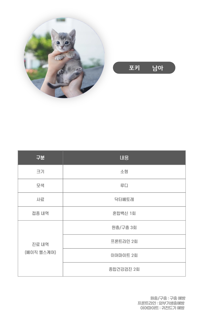 포키_상세이미지_3