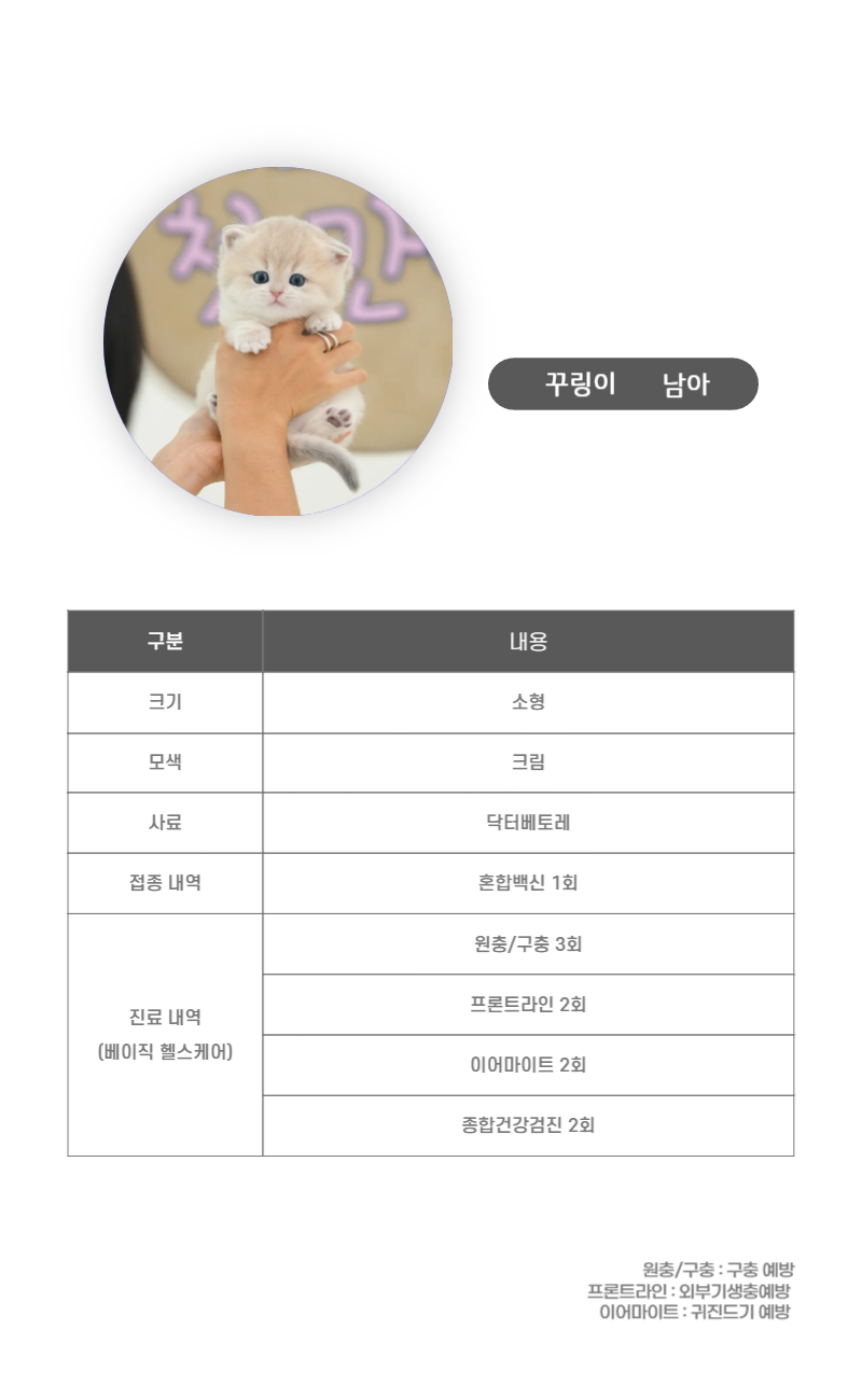 꾸링이_상세이미지_3