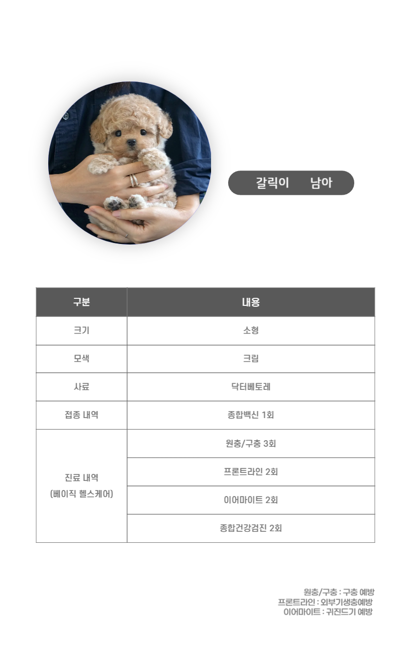 갈릭이_상세이미지_3