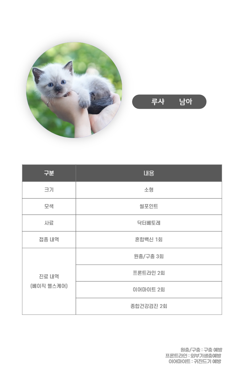 루샤_상세이미지_3