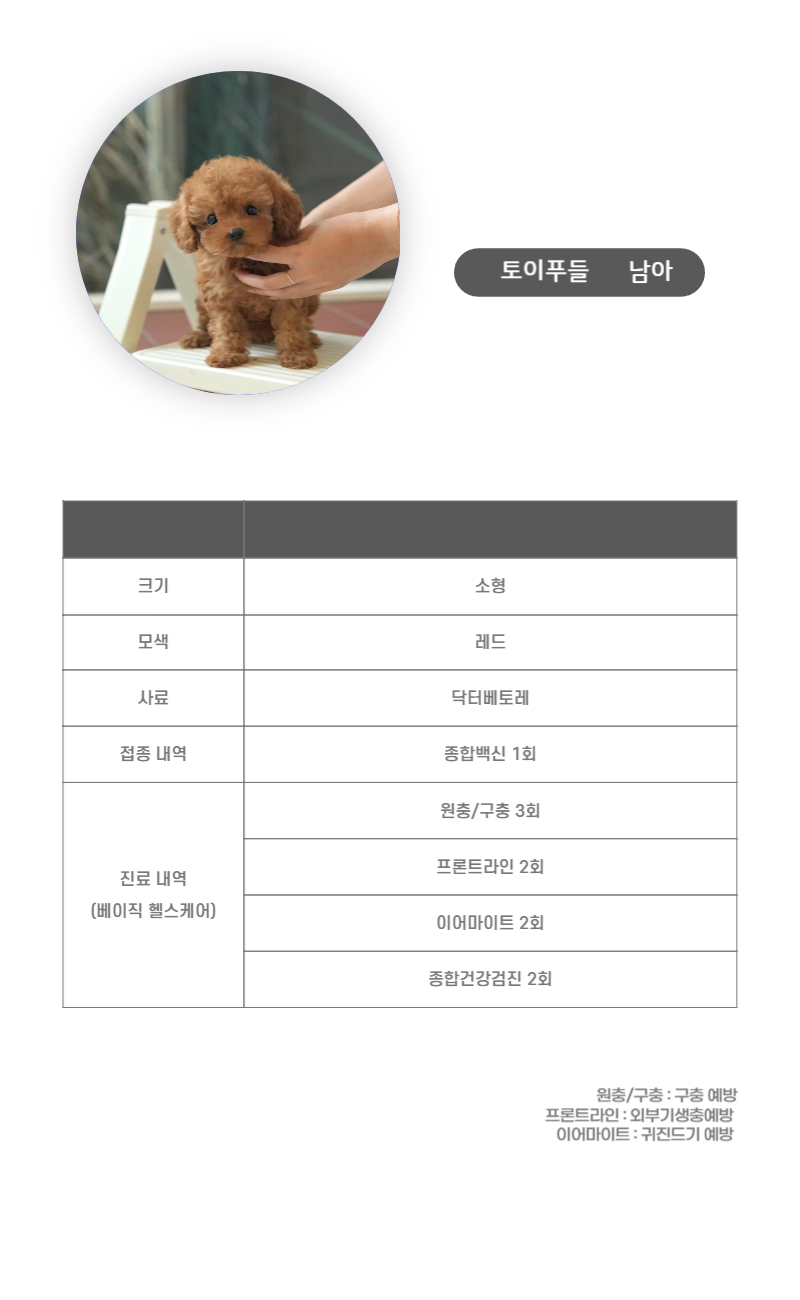 토이푸들_상세이미지_3