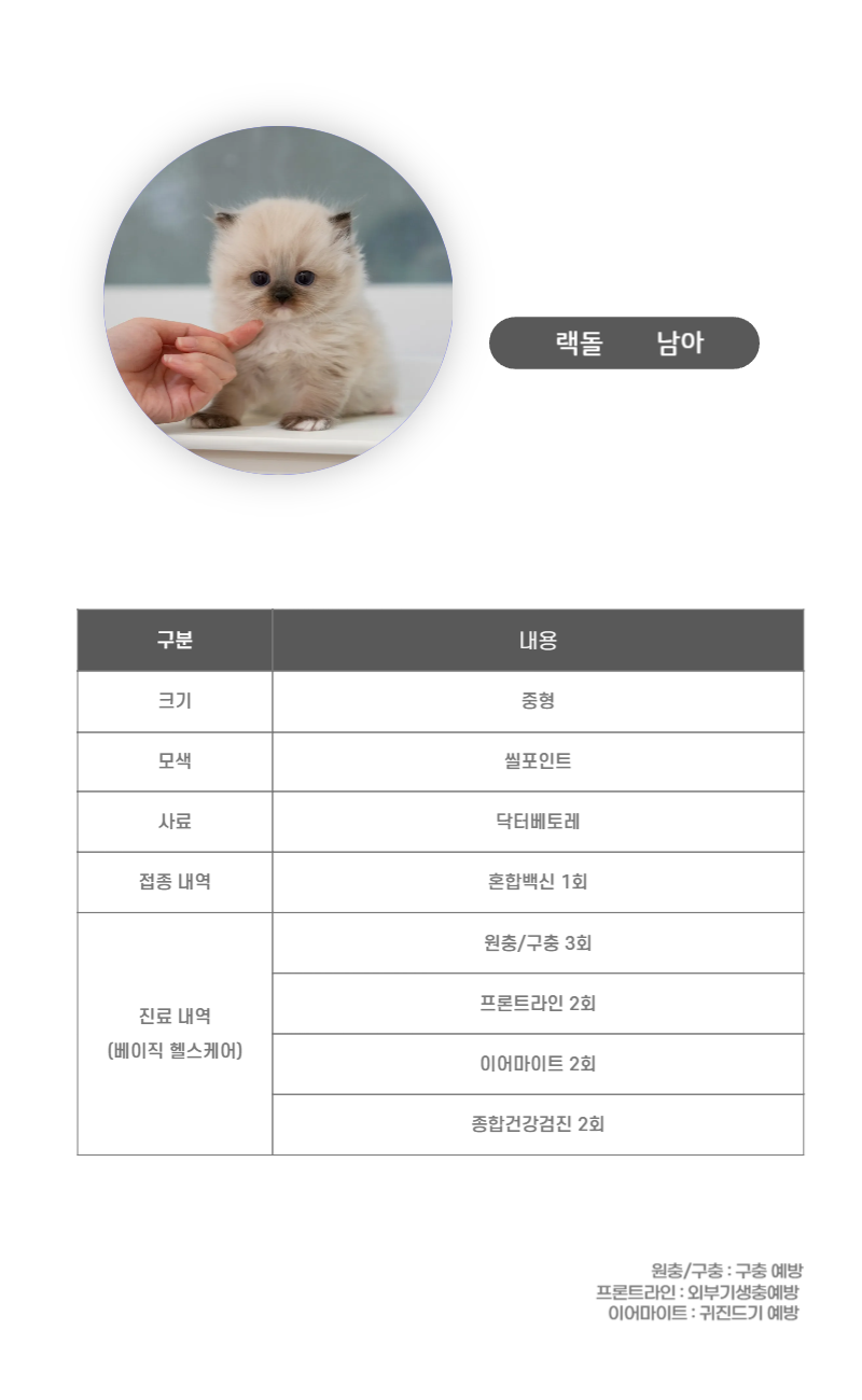 랙돌_상세이미지_3