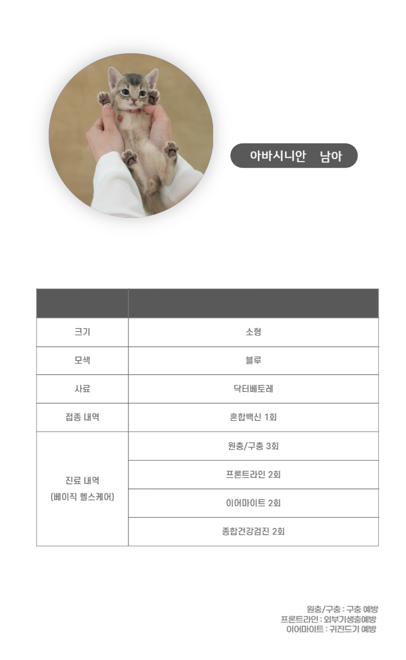 아비_상세이미지_3