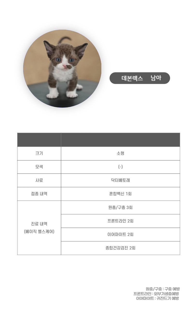 데본렉스_상세이미지_3