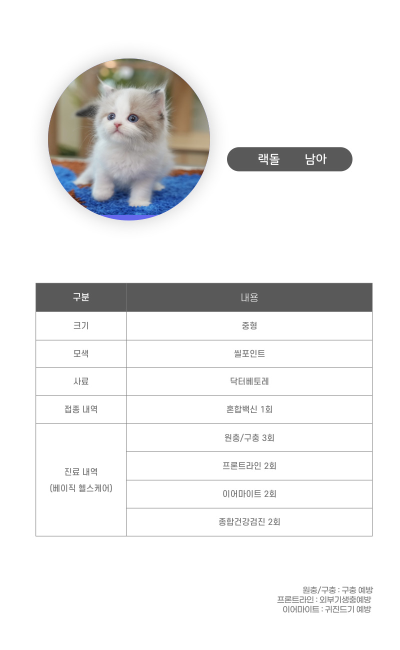 랙돌_상세이미지_3