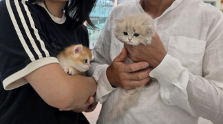 네이버실제리뷰_상세페이지_1