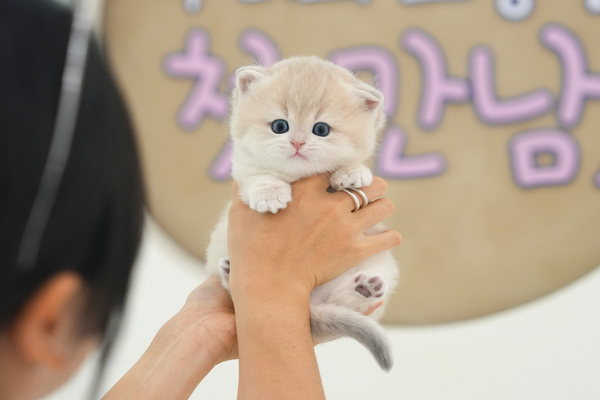 브숏_160_남_멜로디(89).jpg