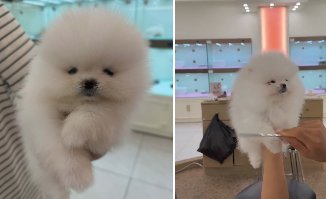 네이버실제리뷰_상세페이지_1