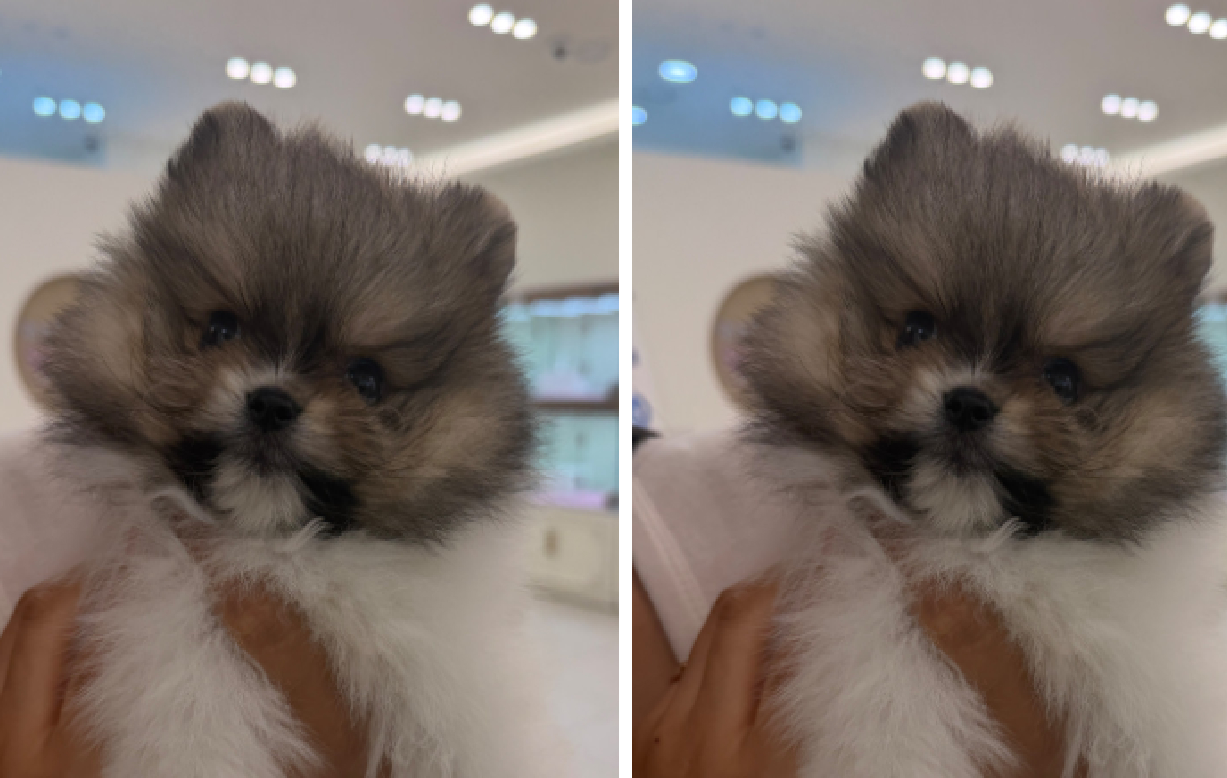 네이버실제리뷰_상세페이지_1