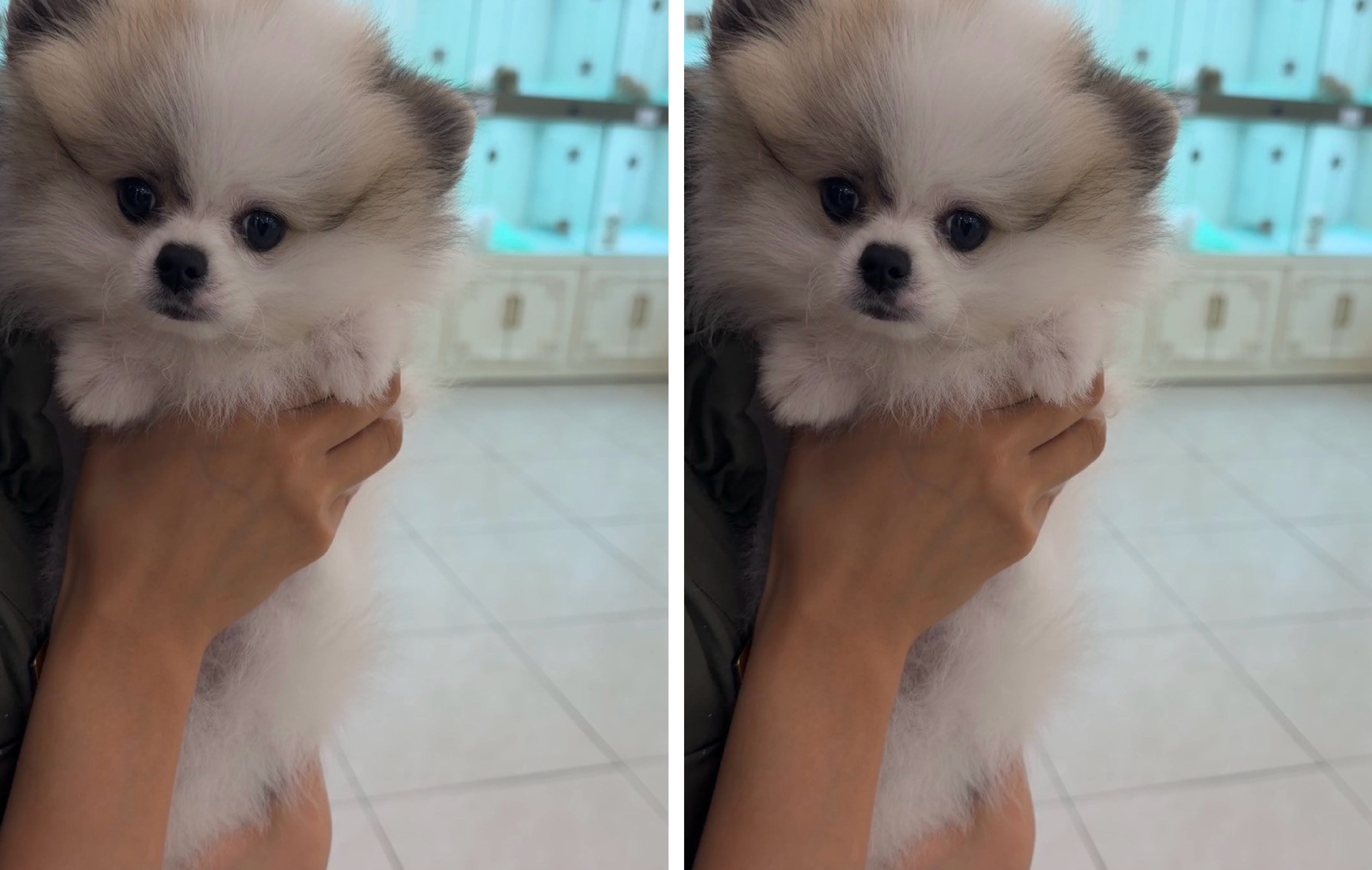 네이버실제리뷰_상세페이지_1