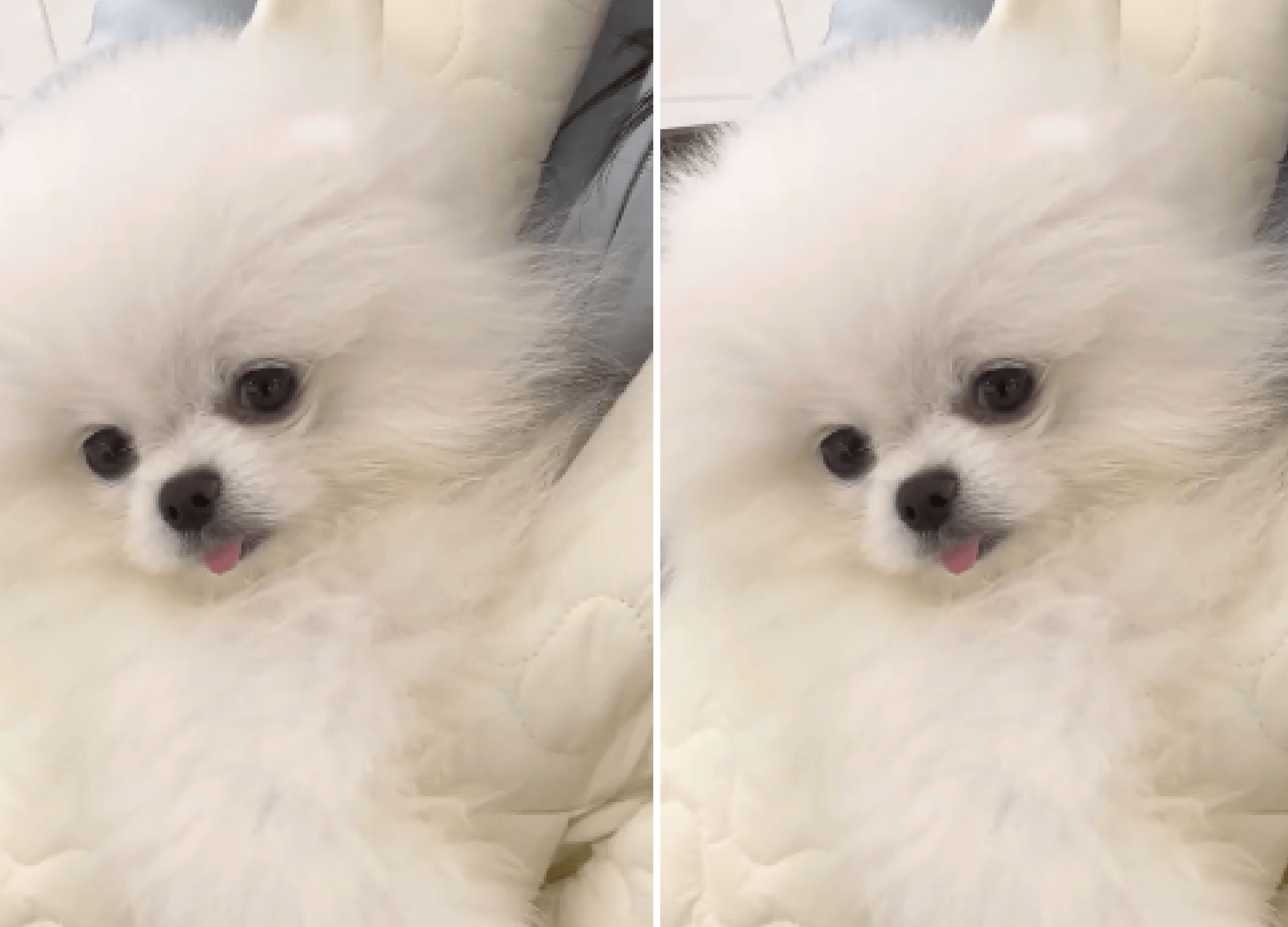 네이버실제리뷰_상세페이지_1