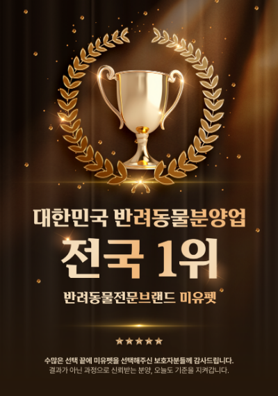 미유펫_팝업_2