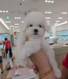 네이버실제리뷰_상세페이지_1