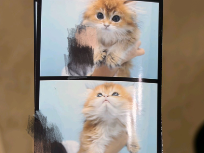 네이버실제리뷰_상세페이지_1