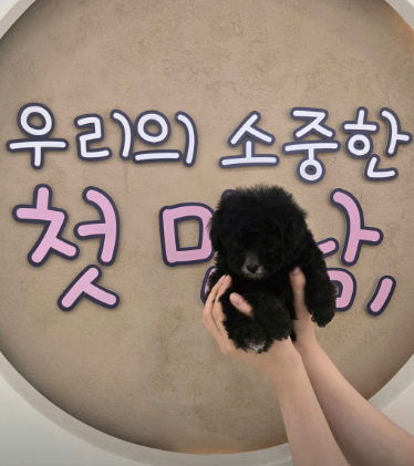 네이버실제리뷰_상세페이지_1